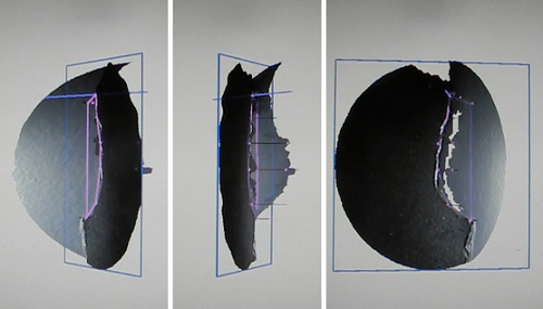 韋林內(nèi)窺鏡三維立體測(cè)量的點(diǎn)云圖驗(yàn)證 韋林內(nèi)窺鏡三維立體測(cè)量的點(diǎn)云圖驗(yàn)證