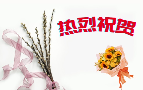 熱烈祝賀我國首次提出的工業窺鏡視覺檢測系列國際標準成功立項 熱烈祝賀我國首次提出的工業窺鏡視覺檢測系列國際標準成功立項